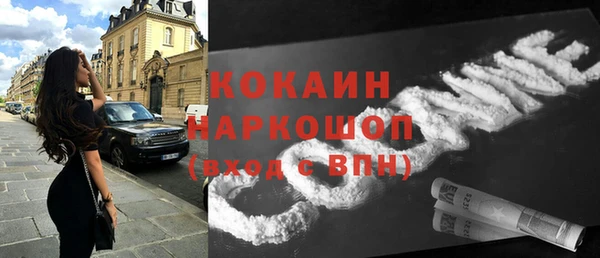 Альфа ПВП Пересвет