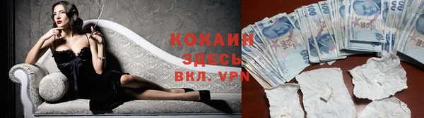 Альфа ПВП Пересвет