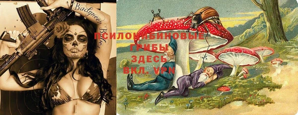 Альфа ПВП Пересвет