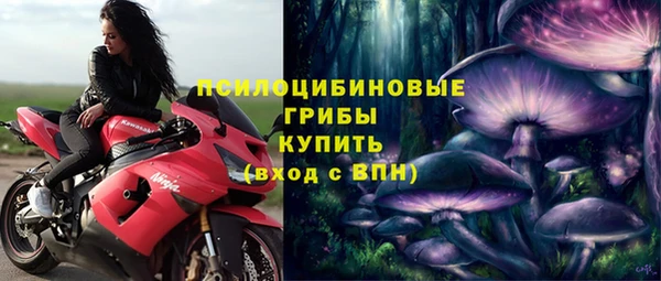 Альфа ПВП Пересвет