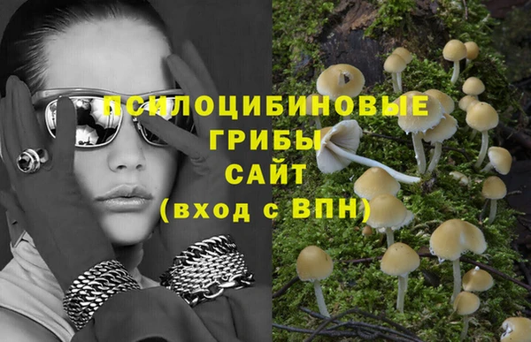 экстази Пестово
