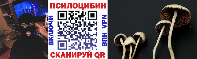 Галлюциногенные грибы Psilocybine cubensis  ссылка на мегу ссылка  Светлоград 