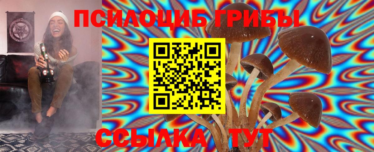 Псилоцибиновые грибы Magic Shrooms Светлоград